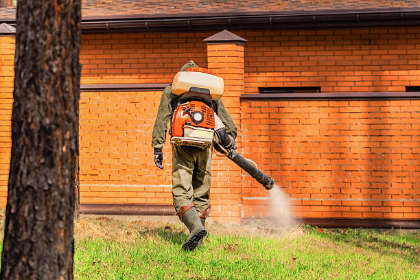 Trusted Bed Bug Control service in Oakfield, WI - Nex Pest Control